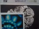 MAURIZIO BIANCHI / MB : GENOCIDE FOR THE MENSES, lim.50