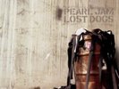 PEARL JAM LOST DOGS VINYL