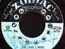 NORTHERN SOUL 45-RUBY ANDREWS Just Loving You *ZODIAC