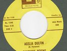 SUNSHINE REIGNS Acelia Dulfin RARE downer psych 45 HEAR