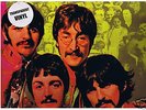 BEATLES Alternate SGT. PEPPER Do-LP lim Ed Nr 265/1000