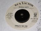 Sharon Scott - Could It Be You RCA Northern Soul 45 RPM