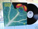 CATAPILLA CHANGES 1972 MINT VERTIGO SWIRL KILLER