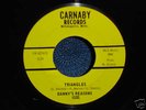 DANNY'S REASONS rare 1967 US / MN. GARAGE / PUNK / G45