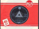 Elvis Presley  S2 45er  I'll Never Let You Go