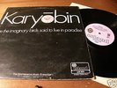 LP     KARYOBIN  The Spontaneous Music Ensemble  PINK