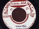 Augustus Pablo School Days RARE Ja 45 Trans-Am Listen