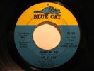 Northern Soul 45 THE AD LIBS on BLUE CAT Johnny HEAR