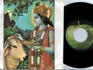 Radha Krishna Temple - Govinda - Apple 7