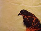 Death Cab For Cutie Transatlanticism LP Sonic Boom 012