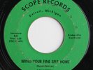 SOULETTES  FINE SELF RARE DETROIT NORTHERN SOUL 45 HEAR