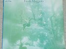 FRESH MAGGOTS - orig. acid folk / psych / prog LP - EX
