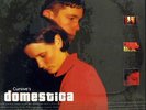 CURSIVE Domestica LP RARE OOP SADDLE CREEK SEALED NM