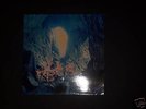 Verve - A Storm in Heaven RARE (Vinyl)