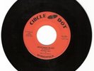 50s Rocker Garage Rockabilly Ronnie Ray 45 Record MN ND