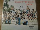 TREMILE & THE JAMALS  - RARE ISLAND FUNK - LISTEN