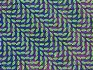 Animal Collective Merriweather Post Pavillion LP NEW