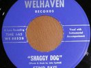 Private 1965 MN 45 STING RAYS Cat Came Back  WELHAVEN
