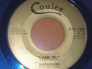 1964 WI BLUE Wax Garage 45  MARAUDERS I Can Tell COULEE