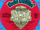 BIG DADDY KANE - AIN'T NO HALF STEPPIN' REMIX..RARE