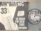 RARE DIY 45-Jim Whiting-Minimal Synth Pop-Post Punk-NM