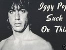 DAVID BOWIE / IGGY POP 'SUCK ON THIS' (LIVE 1977)  DBL
