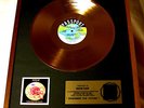 NEKTAR GOLDENE SCHALLPLATTE GOLD RECORD VINYL