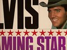 ELVIS PRESLEY.FLAMING STAR & SUMMER KISSES.UK LP.V RARE