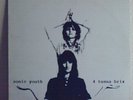 SONIC YOUTH-4 TUNNA BRIX;RARE 1990 EP