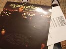 DEMON BOYZ- ORIGINAL GUIDANCE 1992 OG LP RARE UK MIKE J