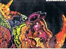 lp RHINOCEROS s/t (60s Psych 1st Italy Vedette)