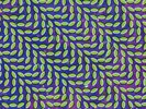 Animal Collective Merriweather Post Pavilion 2LP+MP3