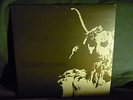 Cursed Two - Converge Left For Dead Sex Vid Deathwish