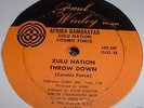 AFRIKA BAMBAATAA - ZULU NATION THROWDOWN 12