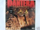 Pantera 