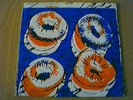 PIN GROUP Coat b/w Jim Early Flying Nun Single FN 003