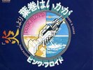 PINK FLOYD-HAVE A CIGAR JAPAN 7'