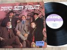 DEAD SEA FRUIT SELF TITLED UK CAMP VINYL LP, RARE PSYCH