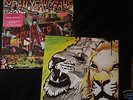 Yeah yeah yeahs 'fever to tell' RARE picture-disc