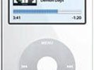 Apple iPod Video 30GB, perfect condition 5th generation