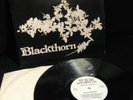 BLACKTHORN ''BLACKTHORN'' FIRST 1977 W.H.M. LABEL N/MIN