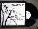 lp PHAROAH SANDERS jazz INDIA NAVIGATION 1977 rare NICE