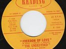 The Undesyded 45 (Reading) Baby I Need You LISTEN  M-