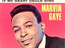 MARVIN GAYE 45 RECORD w/ SLEEVE - TRY IT BABY