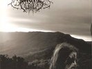 DROWNING THE LIGHT --the serpents r.-LP -MULTICOLOUR