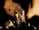 PEARL JAM RIOT ACT Doppel- Vinyl LP Schallplatte