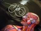 tool band autographed lateralus vinyl  signed