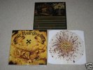Set Your Goals Mutiny LP brown splatter 1st press /700
