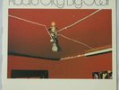 Big Star, Radio City...power pop LP