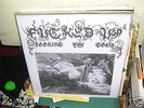 F*cked Up - Looking For Gold LP Sex Vid Cold World punk